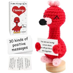 Get Well Soon Gifts, Handmade Emotional Positive Cheer Support Crochet Flamingo Cancer Care Gifts for Patients Women Men Family Friends, Breast Cancer Gifts for Woman