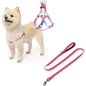 Pupteck Dog Harness and Leash
