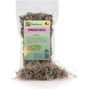 Premium Natural Spanish Moss | Natural Preserved - Great Ground Cover - Filler for Potted Plants - 4 Quart Bag