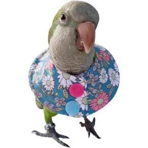Bird Collar - Anti-Bite Elizabethan Recovery Cone Feather Plucking Protector Skin-Friendly Neckwear for Parakeets Conures Cockatiels Lovebirds Budgies Cockatoos African Grey Random Color (S)