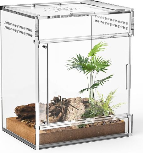 Jumping Spider Enclosure, One-Piece Fully Transparent Acrylic Small Reptile Enclosure, 5.9x5.9x9.8 inch Small Terrarium for Tree Frogs, Tarantulas, Mantises, Ladybugs, Jumping Spiders (Medium) in Saudi Arabia