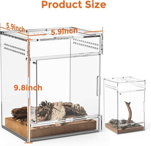 Jumping Spider Enclosure, One-Piece Fully Transparent Acrylic Small Reptile Enclosure, 5.9x5.9x9.8 inch Small Terrarium for Tree Frogs, Tarantulas, Mantises, Ladybugs, Jumping Spiders (Medium) in Saudi Arabia