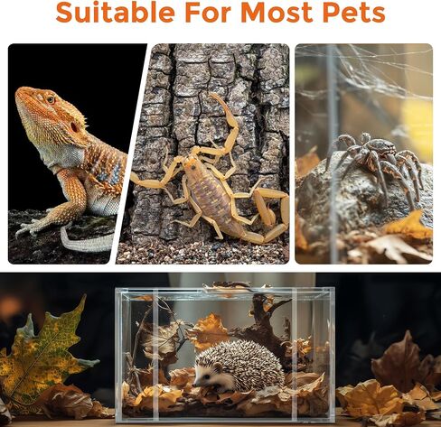 Jumping Spider Enclosure, One-Piece Fully Transparent Acrylic Small Reptile Enclosure, 5.9x5.9x9.8 inch Small Terrarium for Tree Frogs, Tarantulas, Mantises, Ladybugs, Jumping Spiders (Medium) in Saudi Arabia