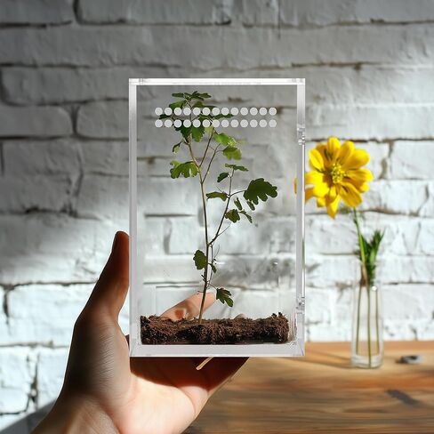 Jumping Spider Enclosure, One-Piece Fully Transparent Acrylic Small Reptile Enclosure, 5.9x5.9x9.8 inch Small Terrarium for Tree Frogs, Tarantulas, Mantises, Ladybugs, Jumping Spiders (Medium) in Saudi Arabia