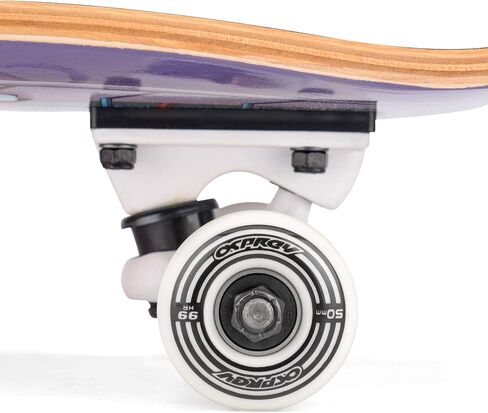 Osprey Volkswagen Professional Skateboard| for Beginners, 31 Inch Double Kick Concave Adult Skateboard with ABEC 7 Bearings – 220lbs Max User Weight– Official VW Designs in Saudi Arabia