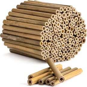 Rivajam 125 Bamboo Sticks for Crafts Supplies | عصي الحرف الخيزران وأنابيب النحل ميسون لماسون بي هاوس | قش Bamboo Reed Mason Bee for Boe Box ، و Bee Hotel & Bollinator Gardens