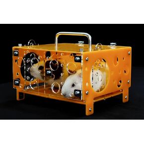 Guinealoft ™ Guinea Pig Cheese House (مزدوج) V2 - مخبأ خنزير غينيا النهائي من قبل أصحابها المحنكين الذين جربوا كل شيء هناك - حصريًا من قبل غينيا لوفت