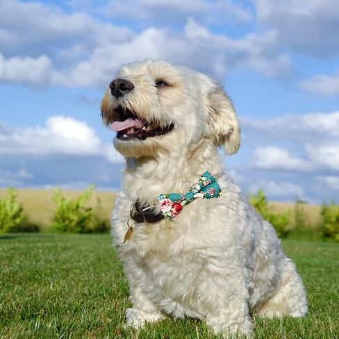 PET SHOW Wholesale 50pcs Floral Small Dogs Collar Attachment Bow Ties Embellishment Medium Large Dog Puppies Cats Collar Charms Accessories Bulk Slides Bowties in Saudi Arabia