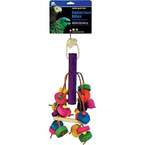 Prevue Pet Products Babacitious Bites Deliteful Bird Toy 60920