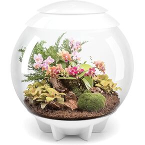 biOrb AIR 60 LED Terrarium - 16 gallon, white (46147)