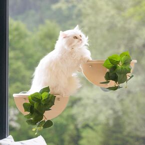 Meowooou 2pcs Cat Window Steps Cat Window Shelf Cups Cancting Stair Cat Perch Perch Perch Set Date Date For Window Sill Sturdy Window Step للقطط الداخلية