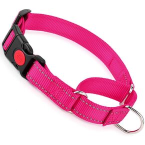 Martingale Collar for Dogs with Buckle, Reflective Dog Choke Collar Escape Proof No Pull Cinch Dog Training Collars Adjustable for Small Medium Large XL Breed Pet Dogs, Blue L