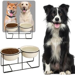 مجموعة وعاء للكلب المرتفع من السيراميك - أوعية مزدوجة الكلب مع حامل معدني غير انزلاق - غذاء الكلب المرتفع ومجموعة وعاء الماء - أطباق تغذية الكلاب - أطباق الحيوانات الأليفة للجرو والقطط - 1 كوب - 13.5 أوقية - أبيض غير لامع in Kuwait