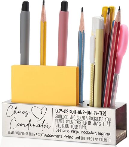 Chief Financial Officer Gifts, Funny Pen and Pencil Holder for CFOs, Desk Organizer for Finance Professionals, Humor Appreciation Gifts for Accountants and Executives EDP60 in Kuwait