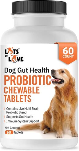Dog Probiotic Chewable Tablets - Probiotic for Dog - Probiotic Supplement - Lots of Love Pet Products - 60 Count (Pack of 1) in Saudi Arabia