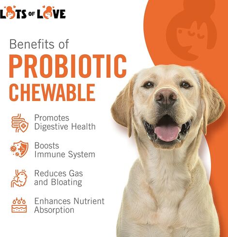 Dog Probiotic Chewable Tablets - Probiotic for Dog - Probiotic Supplement - Lots of Love Pet Products - 60 Count (Pack of 1) in Saudi Arabia
