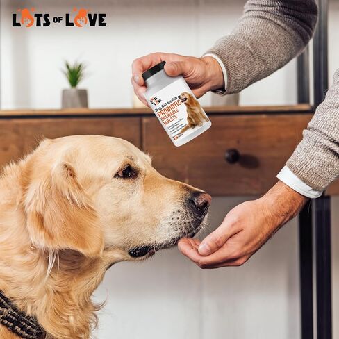 Dog Probiotic Chewable Tablets - Probiotic for Dog - Probiotic Supplement - Lots of Love Pet Products - 60 Count (Pack of 1) in Saudi Arabia