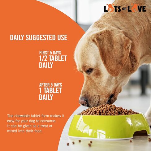 Dog Probiotic Chewable Tablets - Probiotic for Dog - Probiotic Supplement - Lots of Love Pet Products - 60 Count (Pack of 1) in Saudi Arabia