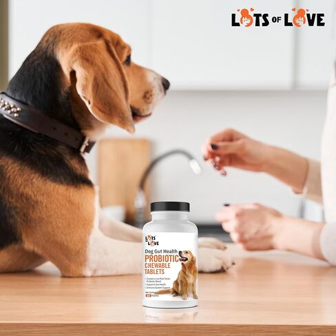 Dog Probiotic Chewable Tablets - Probiotic for Dog - Probiotic Supplement - Lots of Love Pet Products - 60 Count (Pack of 1) in Saudi Arabia