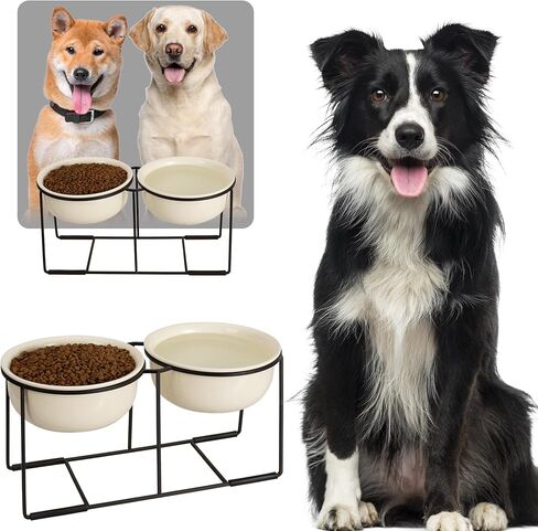 Ceramic Elevated Dog Bowl Set - Raised Food and Water Bowls with Metal Stand - Double Pet Dishes for Small and Medium Dogs - 2 Cups - 27 fl oz - Matte Whit in Kuwait