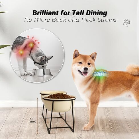 Ceramic Elevated Dog Bowl Set - Raised Food and Water Bowls with Metal Stand - Double Pet Dishes for Small and Medium Dogs - 2 Cups - 27 fl oz - Matte Whit in Kuwait