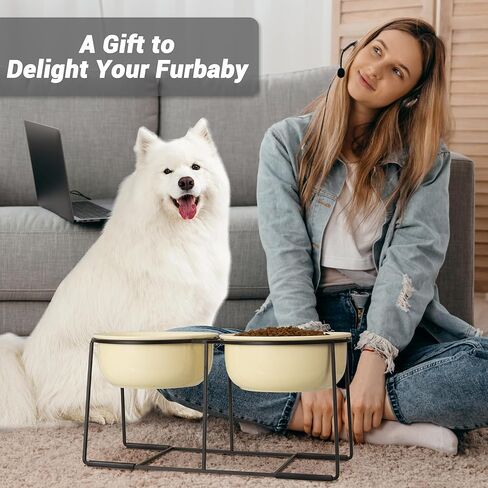 Ceramic Elevated Dog Bowl Set - Raised Food and Water Bowls with Metal Stand - Double Pet Dishes for Small and Medium Dogs - 2 Cups - 27 fl oz - Matte Whit in Kuwait