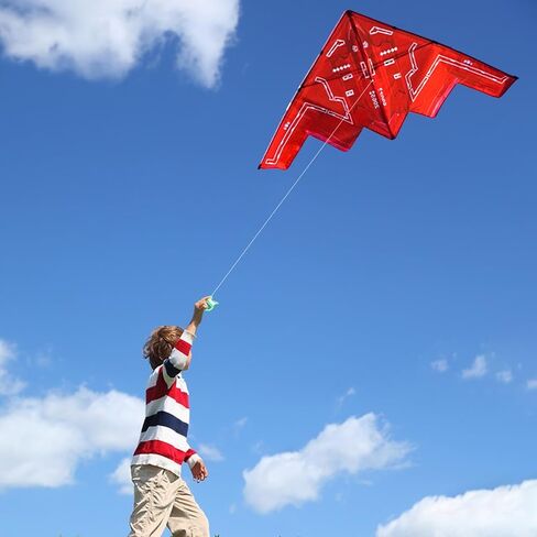 HENGDA KITE,Delta Plane Kite for Kids and Adults,Easy to Fly,Excellent Fabric and Structure Design,Suitable for Square, Beach, Grass, Park,Excellent Gift in Kuwait