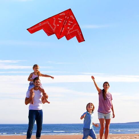 HENGDA KITE,Delta Plane Kite for Kids and Adults,Easy to Fly,Excellent Fabric and Structure Design,Suitable for Square, Beach, Grass, Park,Excellent Gift in Kuwait