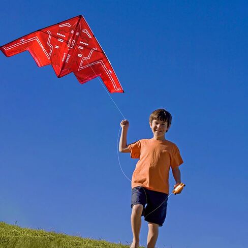 HENGDA KITE,Delta Plane Kite for Kids and Adults,Easy to Fly,Excellent Fabric and Structure Design,Suitable for Square, Beach, Grass, Park,Excellent Gift in Kuwait