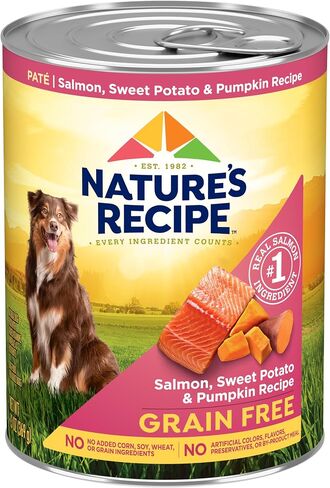 Nature's Recipe Grain Free Salmon, Sweet Potato, and Pumpkin Recipe Wet Dog Food, 13 oz. Can, 12 Count in Kuwait