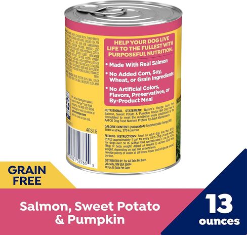 Nature's Recipe Grain Free Salmon, Sweet Potato, and Pumpkin Recipe Wet Dog Food, 13 oz. Can, 12 Count in Kuwait