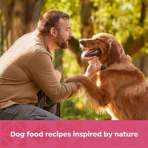 Nature's Recipe Grain Free Salmon, Sweet Potato, and Pumpkin Recipe Wet Dog Food, 13 oz. Can, 12 Count in Kuwait