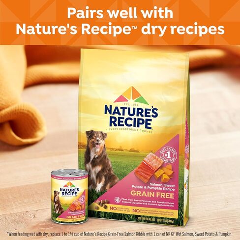 Nature's Recipe Grain Free Salmon, Sweet Potato, and Pumpkin Recipe Wet Dog Food, 13 oz. Can, 12 Count in Kuwait