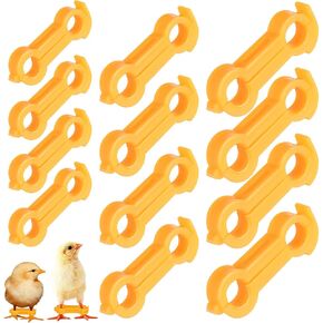 Vosarea 12pcs Chick Leg Sherps Hobble Chicken Splay Leg Suppor