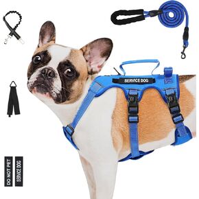Escape Proof Dog Sharness للكلاب الكبيرة المتوسطة الحجم ستة نقاط قابلة للتعديل ، وتسخير سترة الكلب الخدمة ومجموعة المقود ، لا توجد كلاب سحب تسخير مع مقبض ، زخارف الكلب XL للمشي (الأسود ، ل)