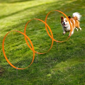 Navaris Dog Agility Training Hoops - 3 عبوات 50 سم طوق ومجموعة أسهم - قفزة ونفق في الهواء الطلق - تمرين خفة بخفة صغيرة للحيوانات الأليفة - مثالية للكلاب الصغيرة والمتوسطة الحجم