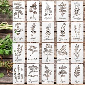 Jecery 20 Pcs Herb Stencils for Craft Plastic Painting Reusable Kitchen Garden Plant Stencils for Crafts Painting Art for DIY Scrapbook Wall Floor Home Decor(7.87 x 4.72 Inches)