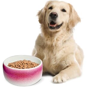 Byer of Maine Pet Bowl – High-Fired Porcelain Stoneware, Food-Grade Safe, Dishwasher Safe, Non-Slip Dog Bowl for Small Breeds in Roll Over Red