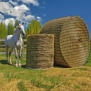 Round Bale Hay Net for Horses, Durable Knotless Nylon Slow Feeder, 6x6 ft, Reduces Hay Waste, Ideal for Outdoor Use, Promotes Healthy Digestion
