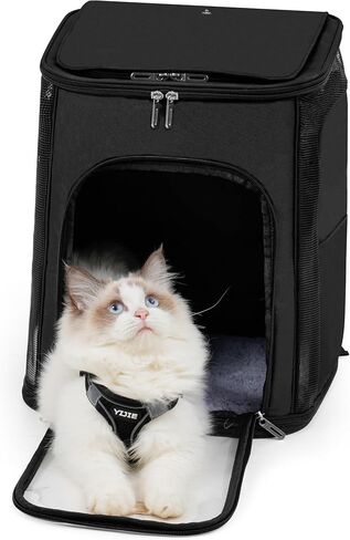 Cat Carrier, Dog Carrier, Cat Bag Carrier, Cat Travel Carrier, Soft-Sided Cat Bag Pet Carriers (Black) in Saudi Arabia