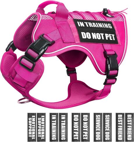 WINSEE Service Dog in Training Mesh Harness with 10 Pet Patches, Soft Air Mesh Breathable Tactical Dog Molle Vest, Reflective Military Pet Vest for Walking Hiking for Medium Dogs in Kuwait