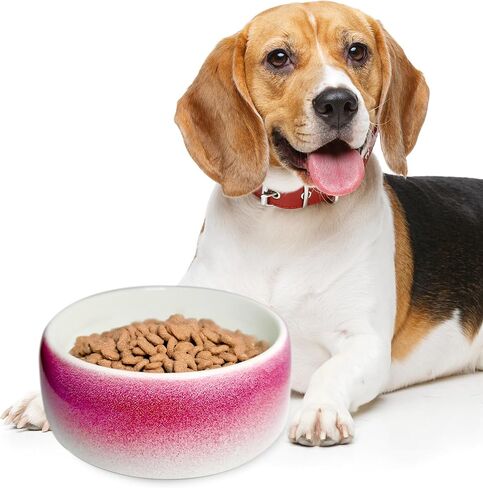 Byer of Maine Pet Bowl-حجري بورسلين عالي الحركة ، وآمن من فئة الطعام ، وآمن غسالة الصحون ، وعاء الكلاب غير المنقوش للسلالات الصغيرة باللون الأحمر in Kuwait