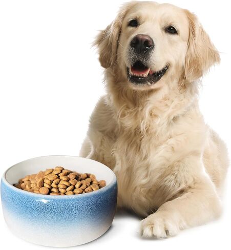 Byer of Maine Pet Bowl-حجري بورسلين عالي الحركة ، وآمن من فئة الطعام ، وآمن غسالة الصحون ، وعاء الكلاب غير المنقوش للسلالات الصغيرة باللون الأحمر in Kuwait