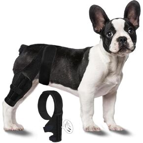 XS Dog Knee Brace