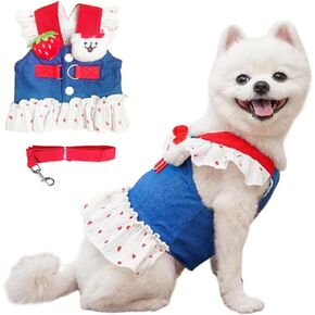 Aniac Denim Dog Dress Tharness with Leash Clit Small Dogs Clothes Girl Heart Patterns Puppy Dresses Mesh Cat Tharness Leash Strawberry Chihuahua Yorkie Outfit (Pink Heart ، Small)
