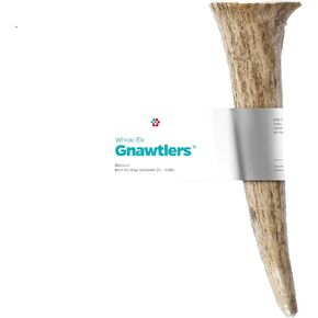 Pet Parents Gnawtlers® - Premium, Naturally Shed, All Natural Elk Antler Dog Chew, Specially Selected from The Heartland Regions (Medium)