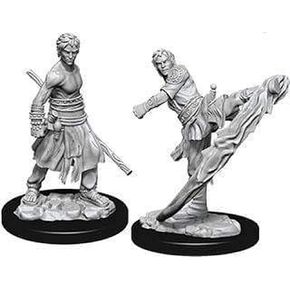 D&D Nolzur's Marvelous Miniatures - Male Half-Elf Monk