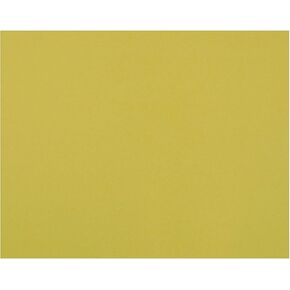 Pacon 54611 Peacock Six-Ply Railroad Board, 22 x 28, White, 25/Carton
