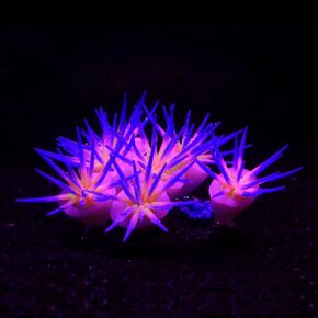 Glowing Effect Soft Anemone Aquarium Fish Tank Decorations Silicone Glow in The Dark Artificial Ornament Plants for Aquarium Landscape Small/Large Fish Bowl Decor Accessories