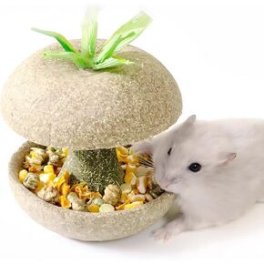 mini&moe Hamster Chew Toys - 3.1in Apple Core Shaped Edible Natural Guinea Pig Chew Bowl for Teeth Handmade Treats for Chinchilla, Gerbil, Rat
